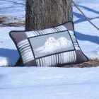 Cushion Between us at the foot of a tree in winter.