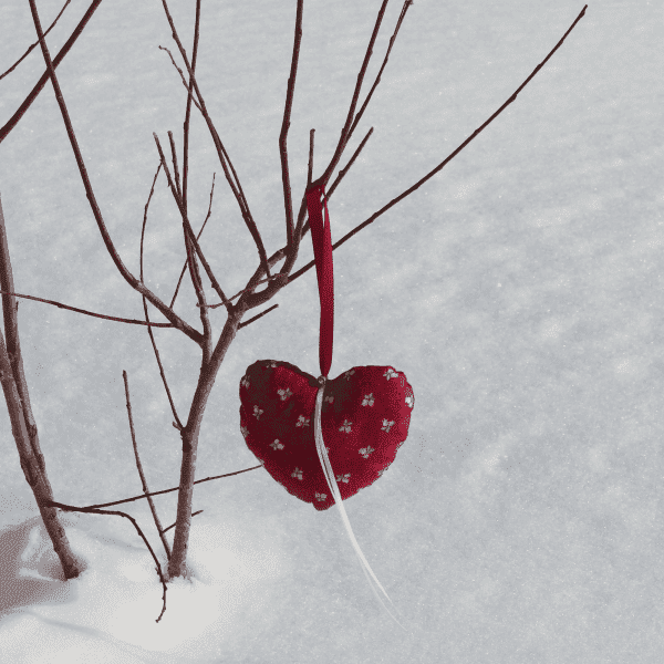 Coeur rouge avec imprimé de boutons de rose suspendu à une branche sur fond de neige.