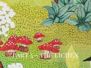 Part 5 of the video Savais-tu - The lichen