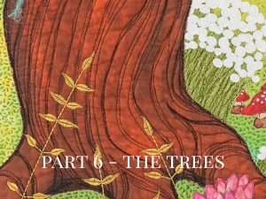 Part 6 of the video Savais-tu - The trees